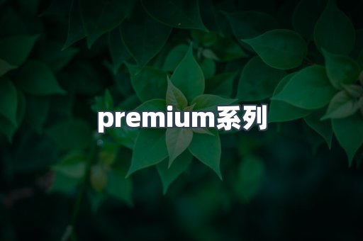 premium系列