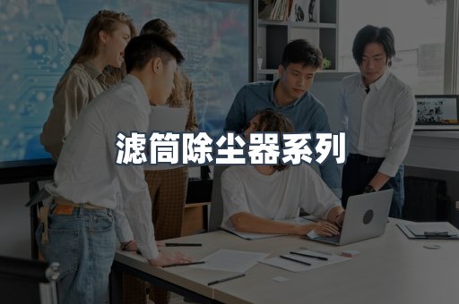 滤筒除尘器系列